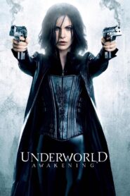 Underworld: Awakening 2012 Sinhala Subtitles | සිංහල උපසිරැසි සමඟ